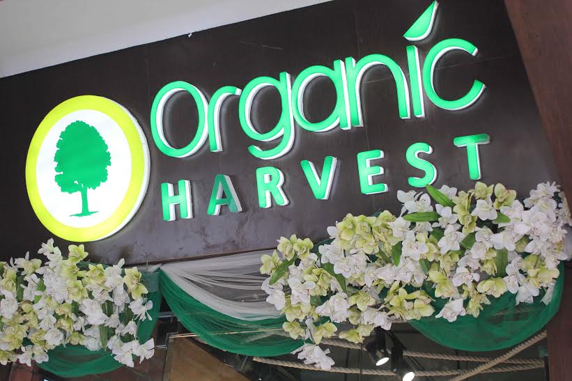 organic harvest natural skin care