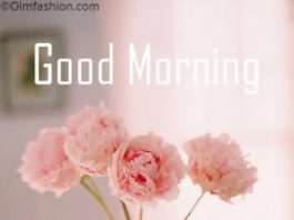 Hd Good morning wallpapers, sunrise images, coffee images, morning flowers, morning wishes,HD good morning
